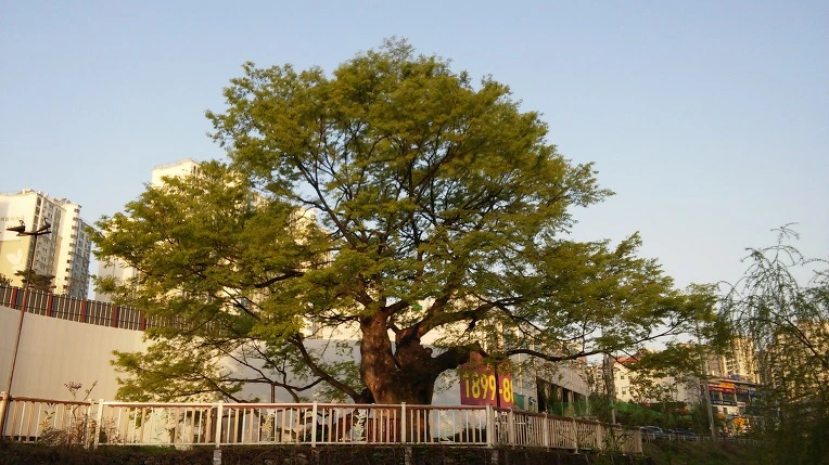 2252B74D5717E922239E81