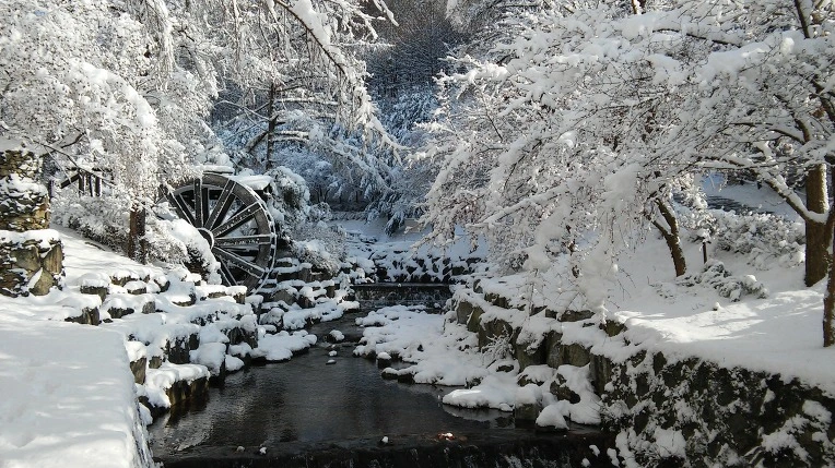 24675544566120E22653BE