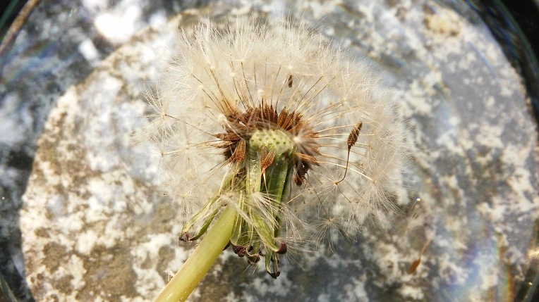 2578294A592A64B32CB6B5