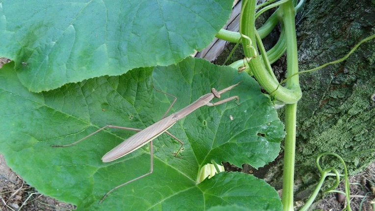 2107754457C792B90B5170