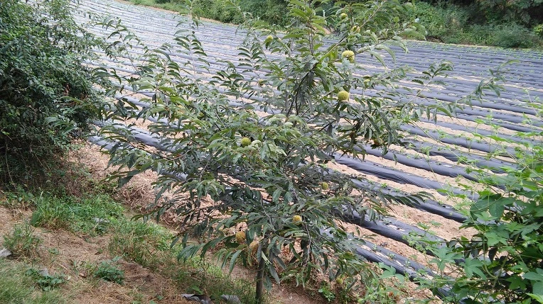 25466E4E57DE021F2BA9FE