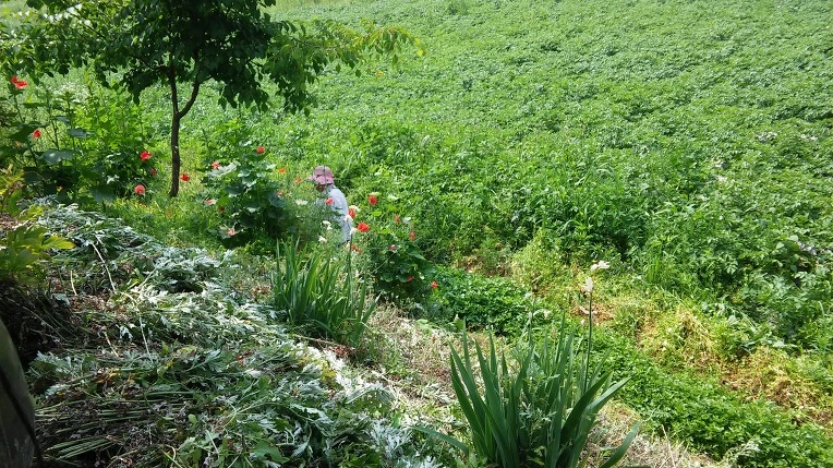 215422345758EF892E5C88