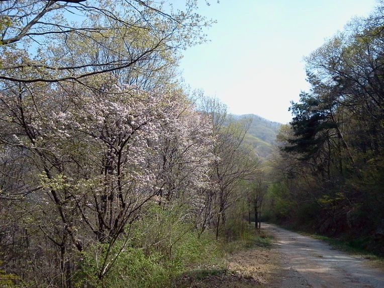 160AC3434DBFA073193E67