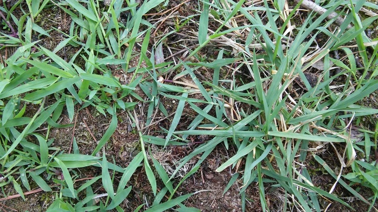 2150E73B5764963D07111D