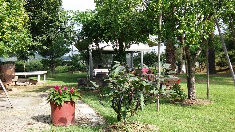 2503724957CA236D16863F