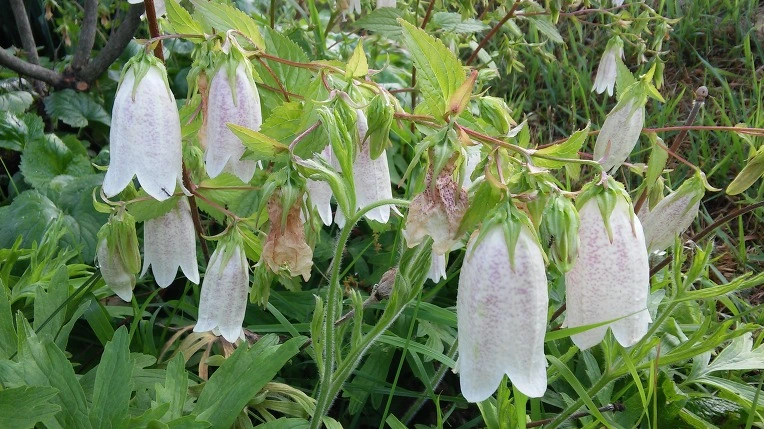 2534833F5757B50304B588