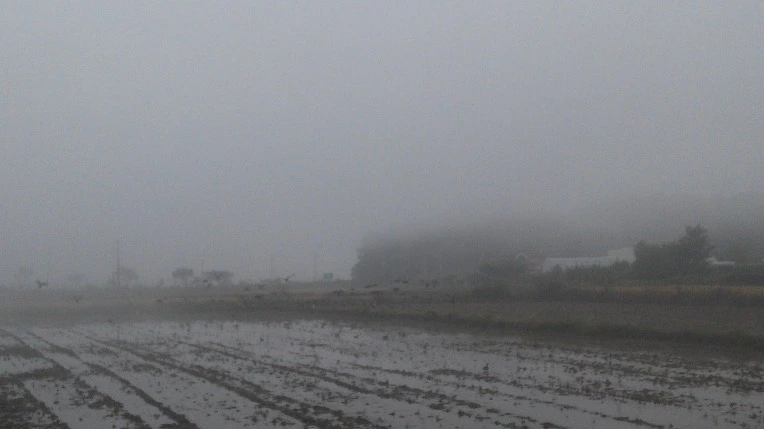 232B843857E46823371D83