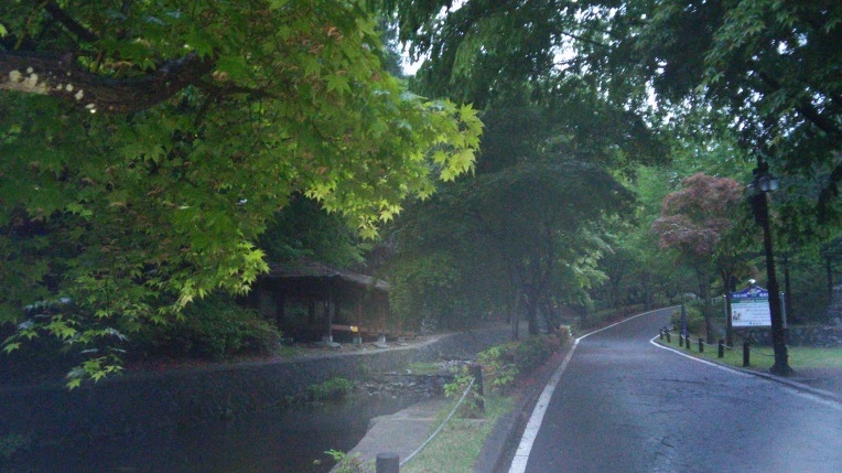 2175B93B569327F81560B9