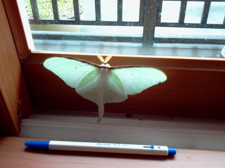 14490E594E06D18C17036C