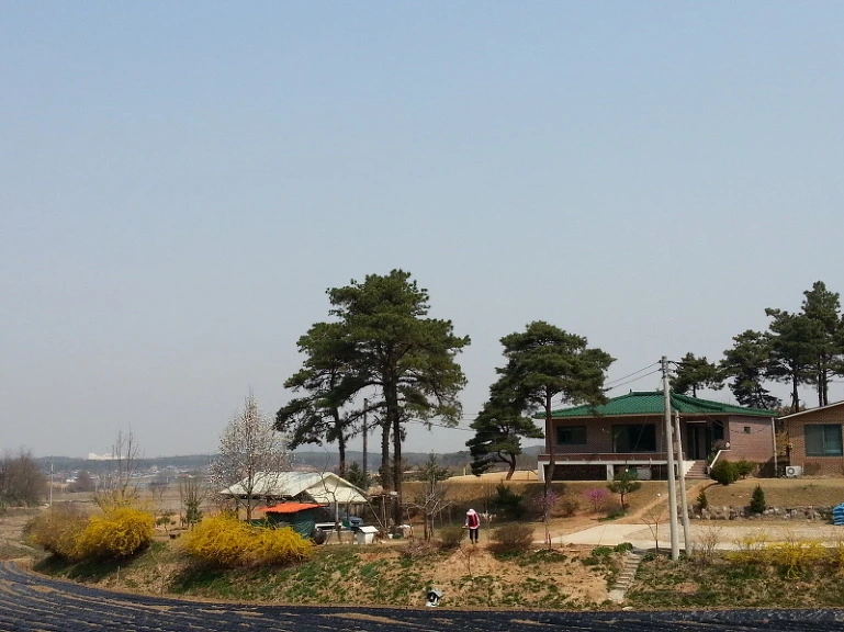 223A9D43533A74D71DF660