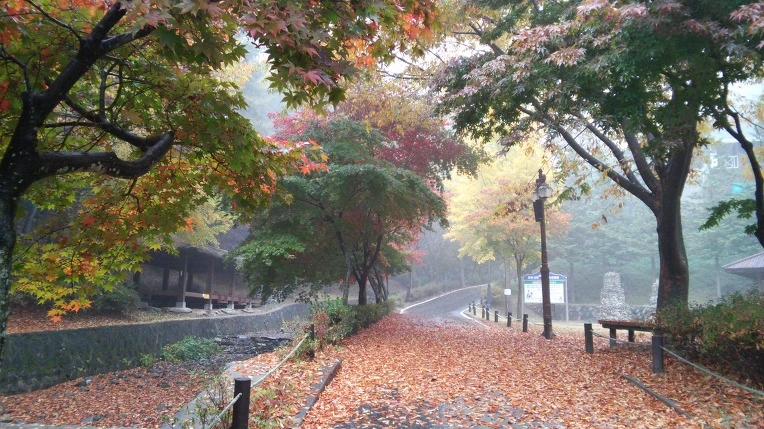 267B643D56932C0827EA04