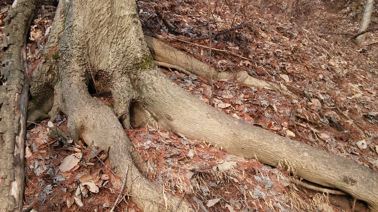 222FE74156EDE5122A48EB