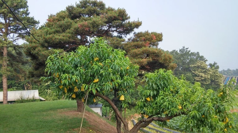 2654BA37575A207E01317A