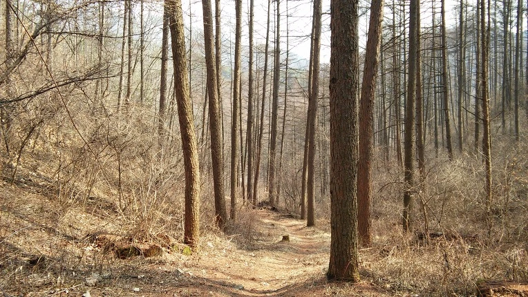 265C08425502830A2B4E7C