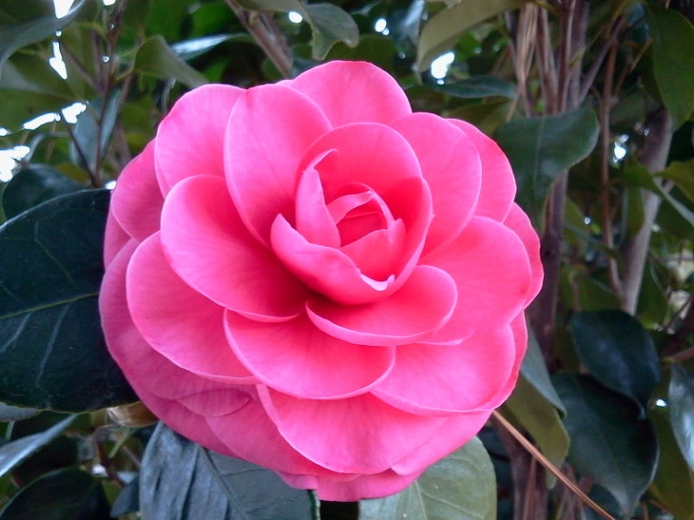 244FBD49547F91181A5186