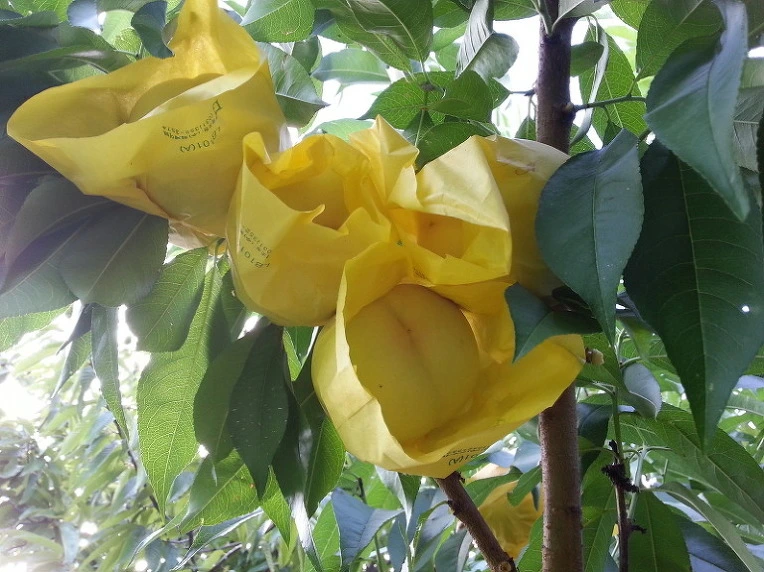 217B8F4E57D0FCF709A1F6