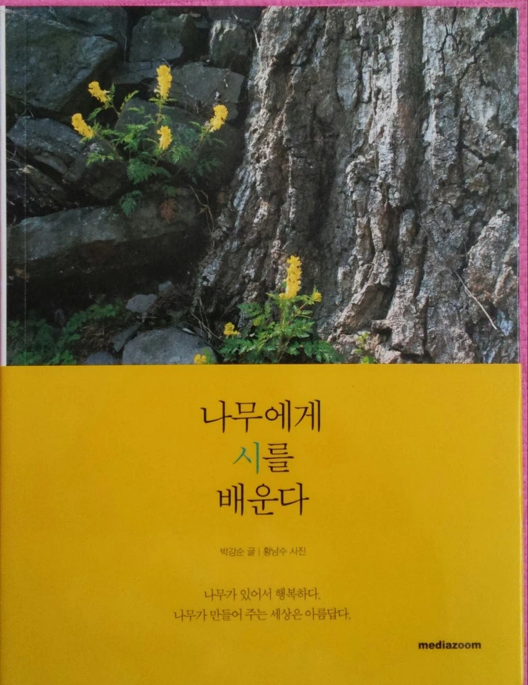 27634C4758CF642D2A9495