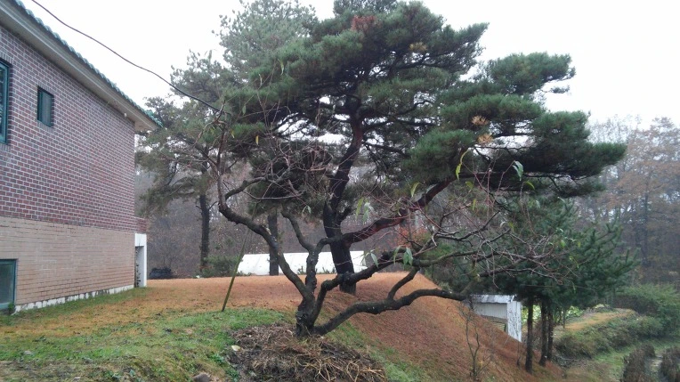 2729004A564999B1065E5A