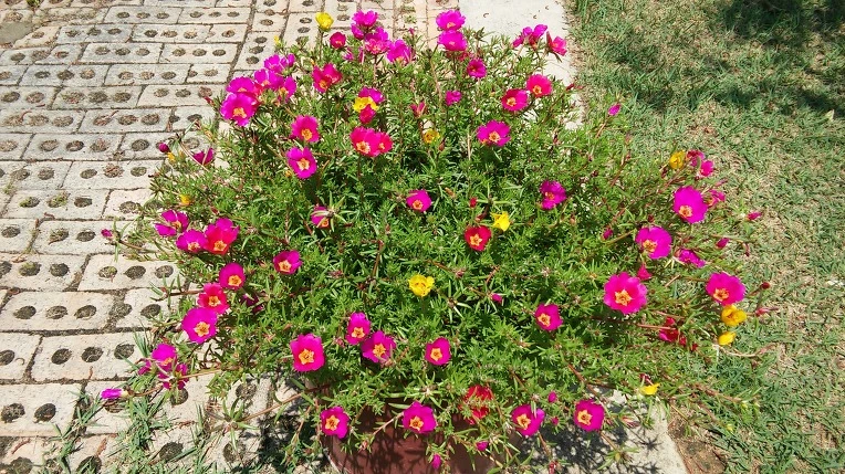 26647D4E576E199715AF97