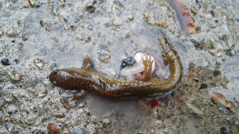 231EC73E58D70B9804D5E7