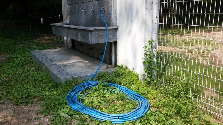 256D5D4E592E9ED10351E4