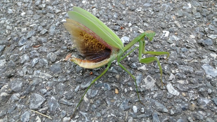 995D45375B7CC1372B15EE