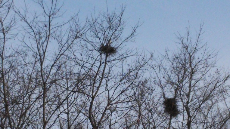 2551E438588318E915CB55