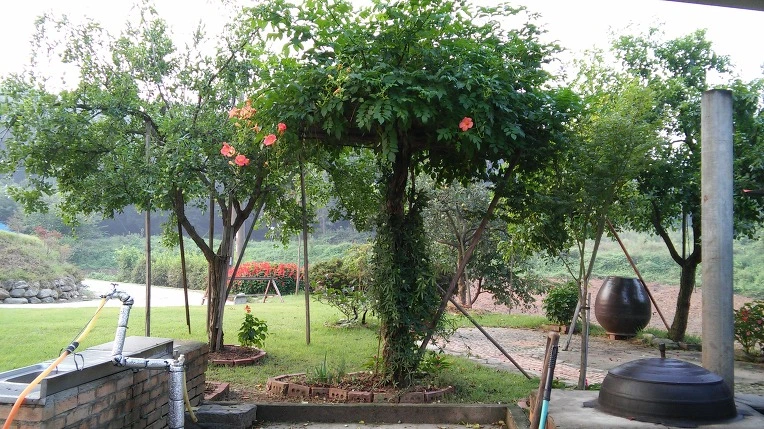 21785D4257C79176071792