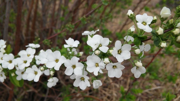 2764D3485702315120C445