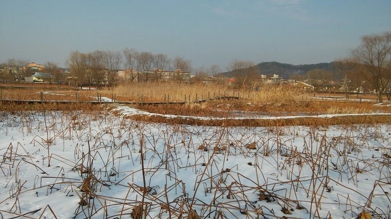 2749B34A56A9E9BA2A584B