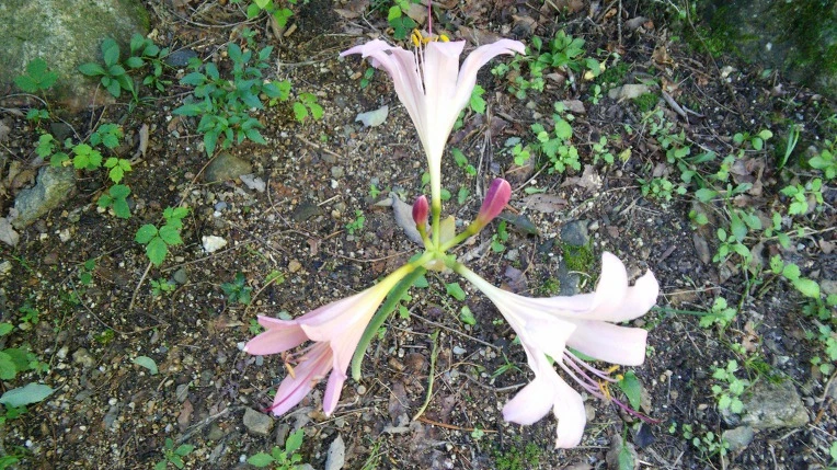 99173633598791CF11A900