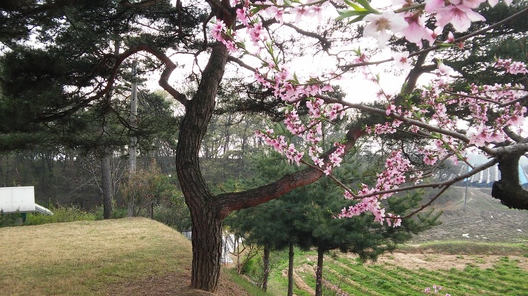 256885435714A17A045999