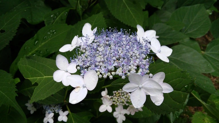 213EF63E59596C0F236563