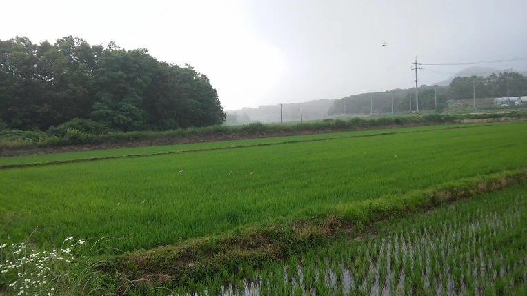 270ECF4E575E562F20FAB8