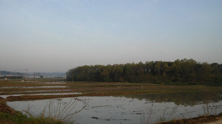 2636CF3B571E9C11234D3E