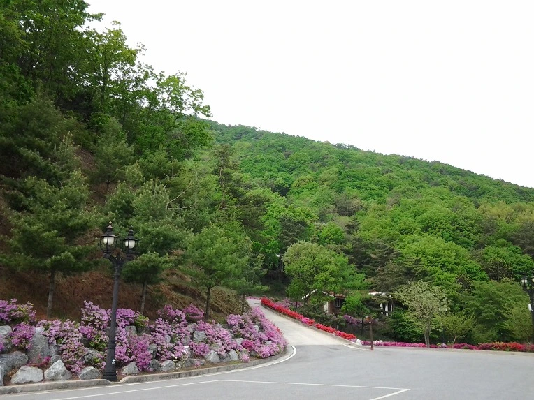 03484C455191DC242714EB