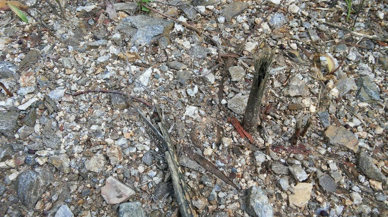 2648E43359693F1F1CA01F