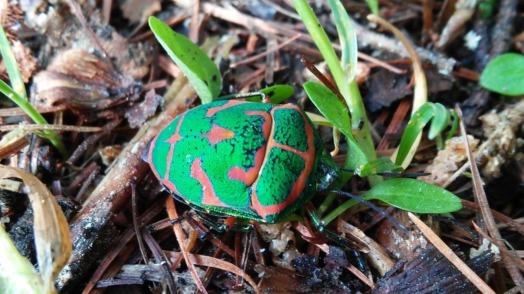 2222E34559300A441E95E1