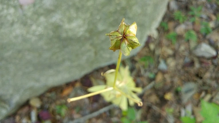 9995143A5DBE6373024674