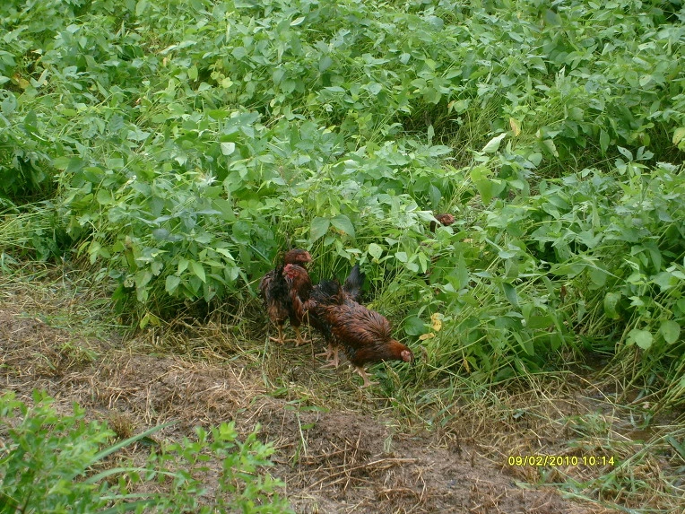 1216061A4CA5BE53641598