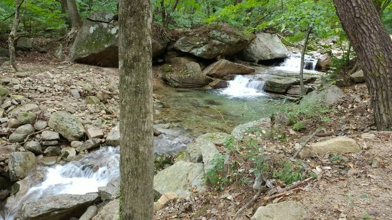 99214D485D9ACD84089341