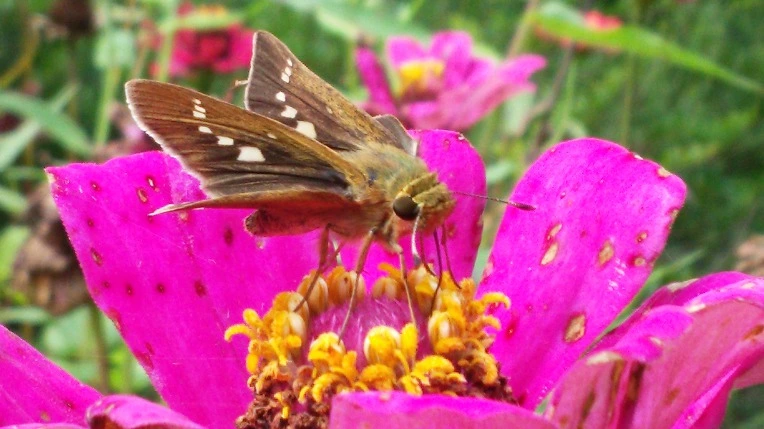 999D8433599E1B46137EA6