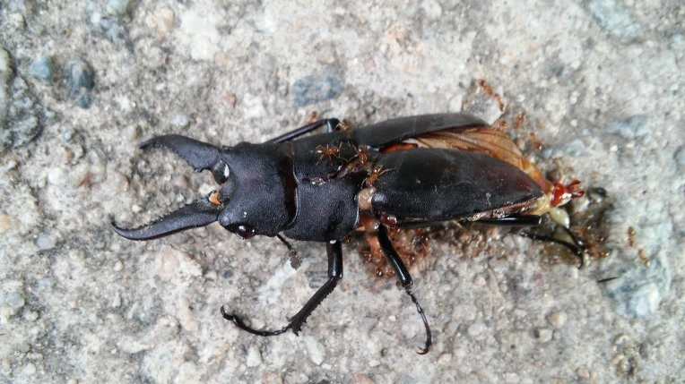 257B8B4357A19F9A17CE04