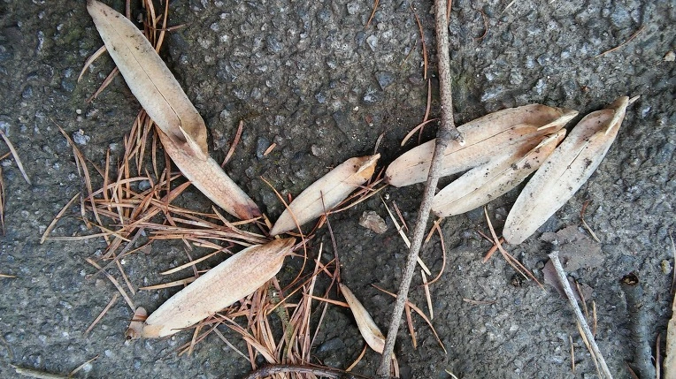 2119D337567211370B1E89