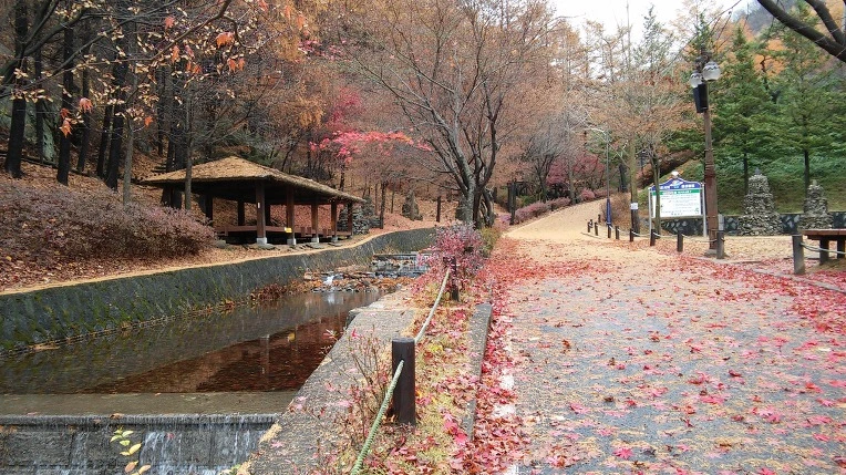 2146DC4456932E31073A69