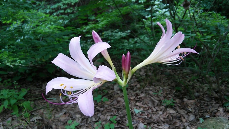 9933B3335984F690150161