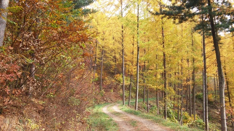 265E3B37564314FB243C90