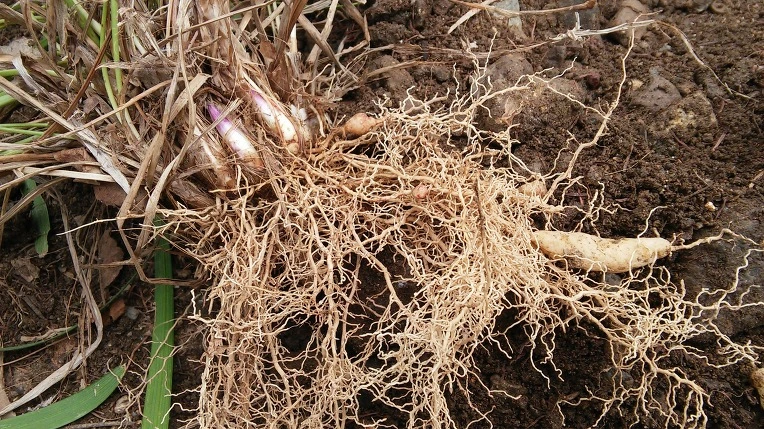 2206A34256F4DC6D3DEDD3