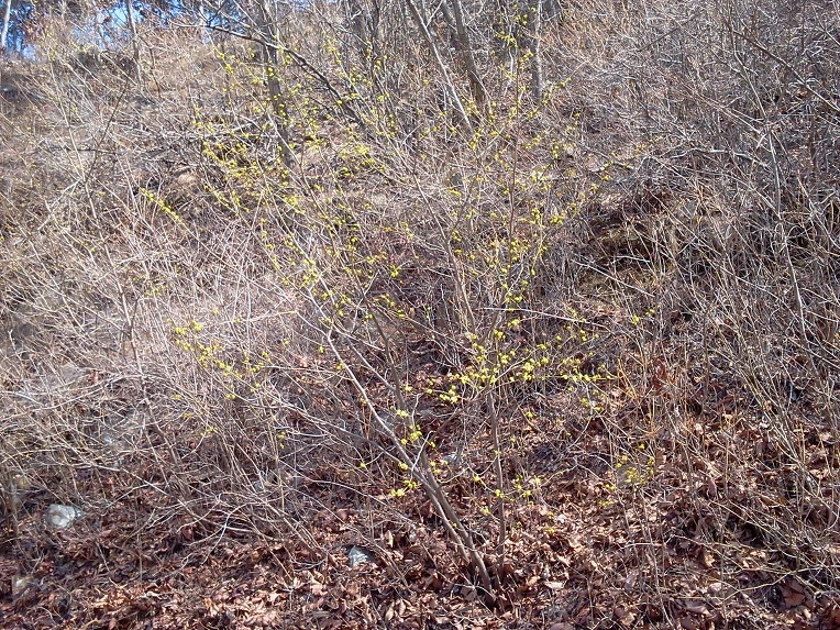 140E6643515781270FEF07