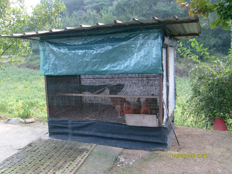 134D061C4CA5CEDECC961B